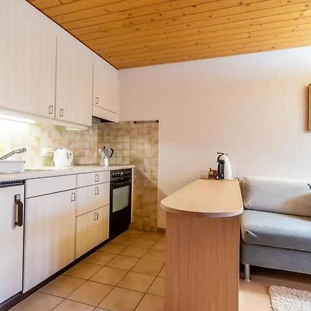 Sonnegg - Puric Appartement-fewo- Dusche Oder Bad- Wc- 1 Schlafraum By Interhome * 茨魏西门